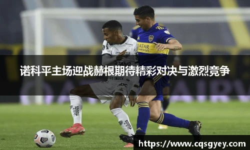 诺科平主场迎战赫根期待精彩对决与激烈竞争