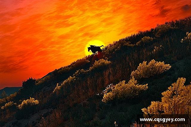 认识365上市公司英国