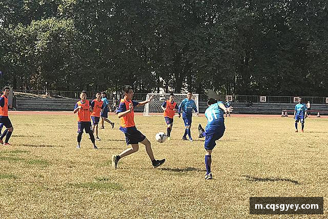 知道365上市公司英国